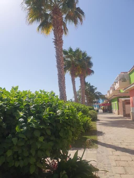 Holiday Properties Moradias Green Santa Maria Kültér fotó